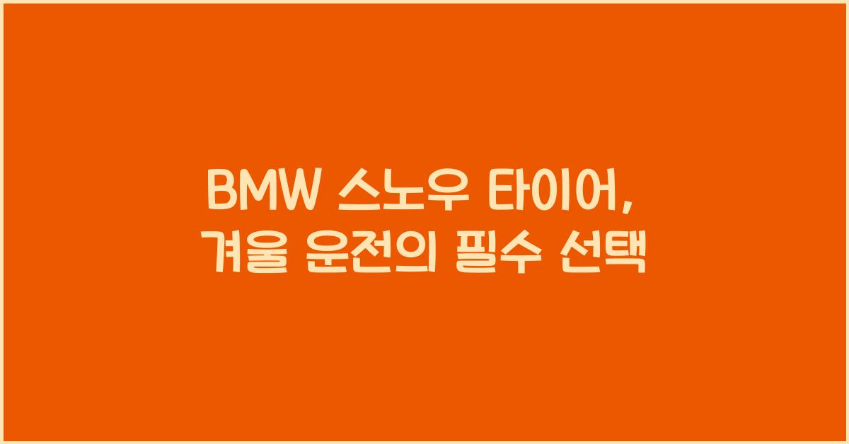 bmw 스노우 타이어