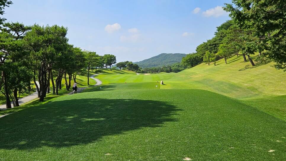 골프장 경험담 여주 신라CC 전통의 품격과 현대의 감성이 만나는 곳 완벽 가이드