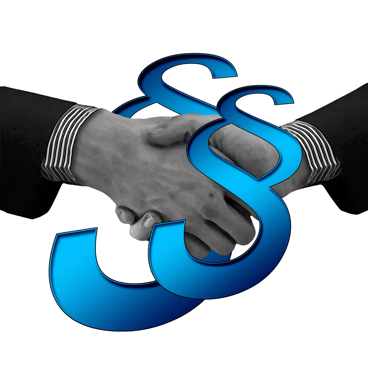 집중투표제의 의무화