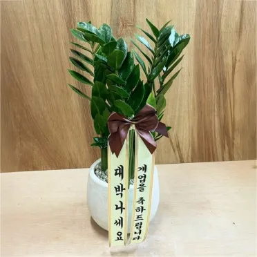 개업 축하 인사 화분 카드 문구 번창 기원 덕담 센스 있게_8