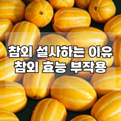 참외-설사하는-이유-참외-효능-부작용