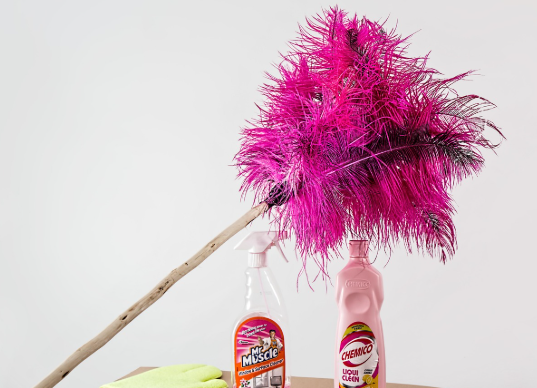 계절별 대청소 체크리스트: 집안 곳곳을 효율적으로 관리하는 법