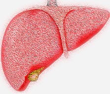 담낭 제거 수술후 좋은음식