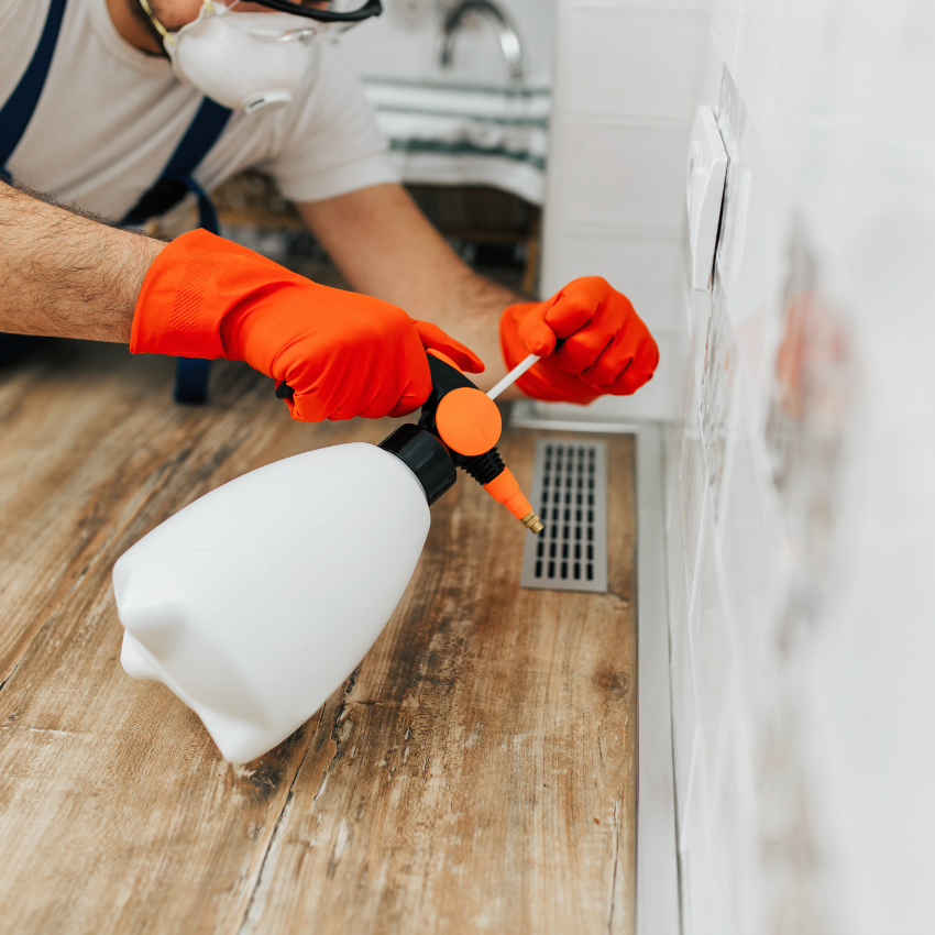 모기 퇴치 꿀팁_21