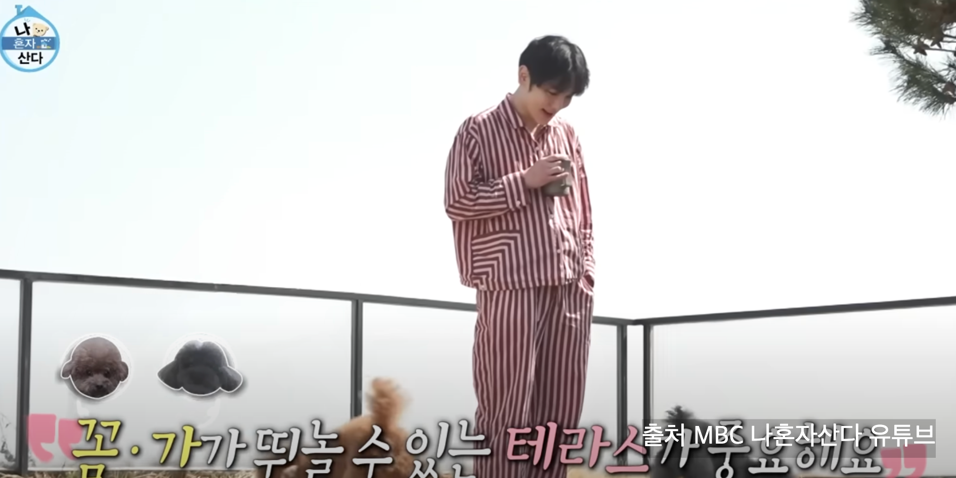 나혼자산다 키 한남동 유엔빌리지 집 위치 가격 한강뷰