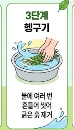 냉이 손질법 및 싱싱한 보관 꿀팁
