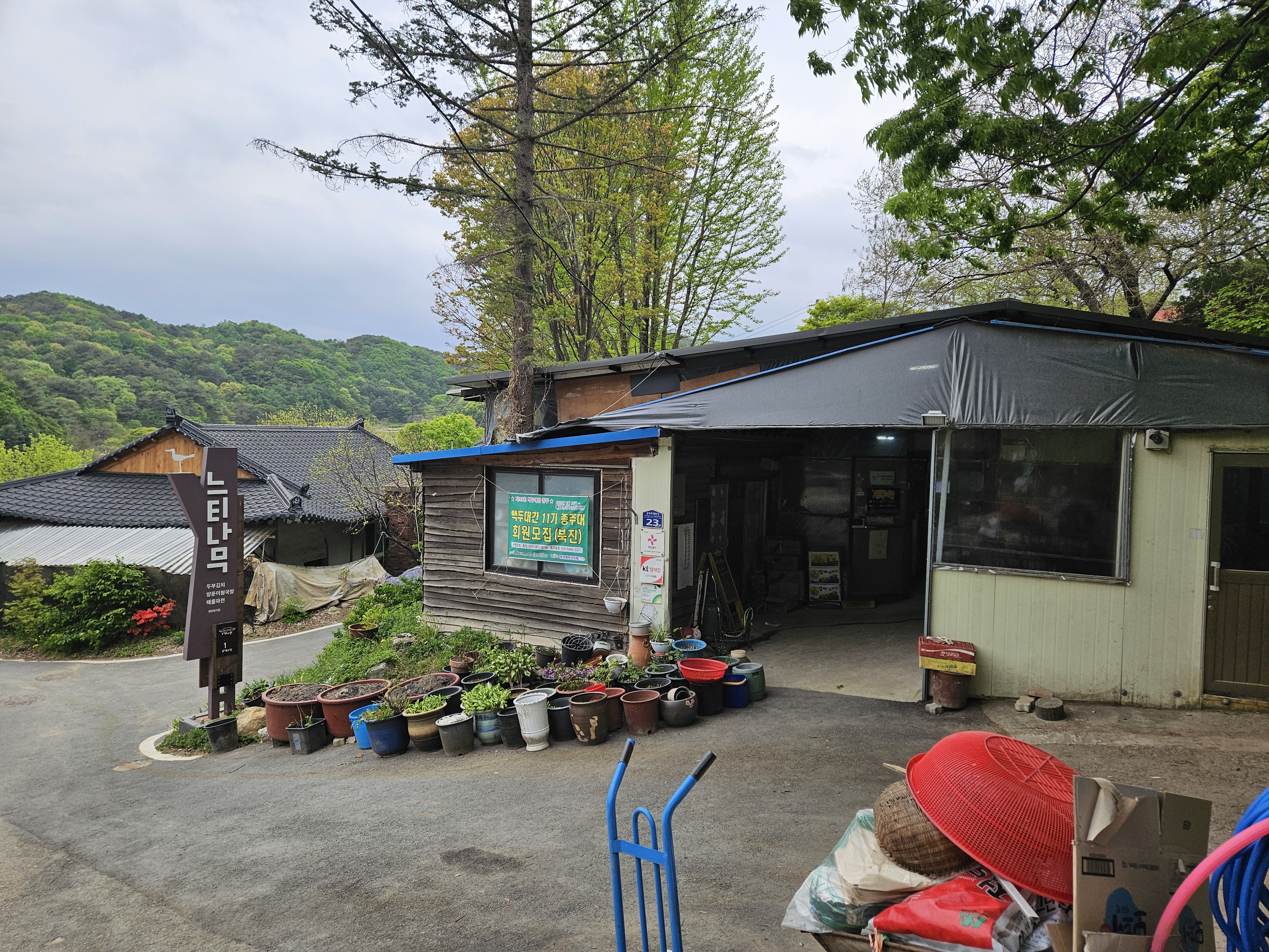 청주 상당산성 느티나무 식당 외관, 비 오는 날 혼술하기 좋은 정겨운 노포 감성 맛집