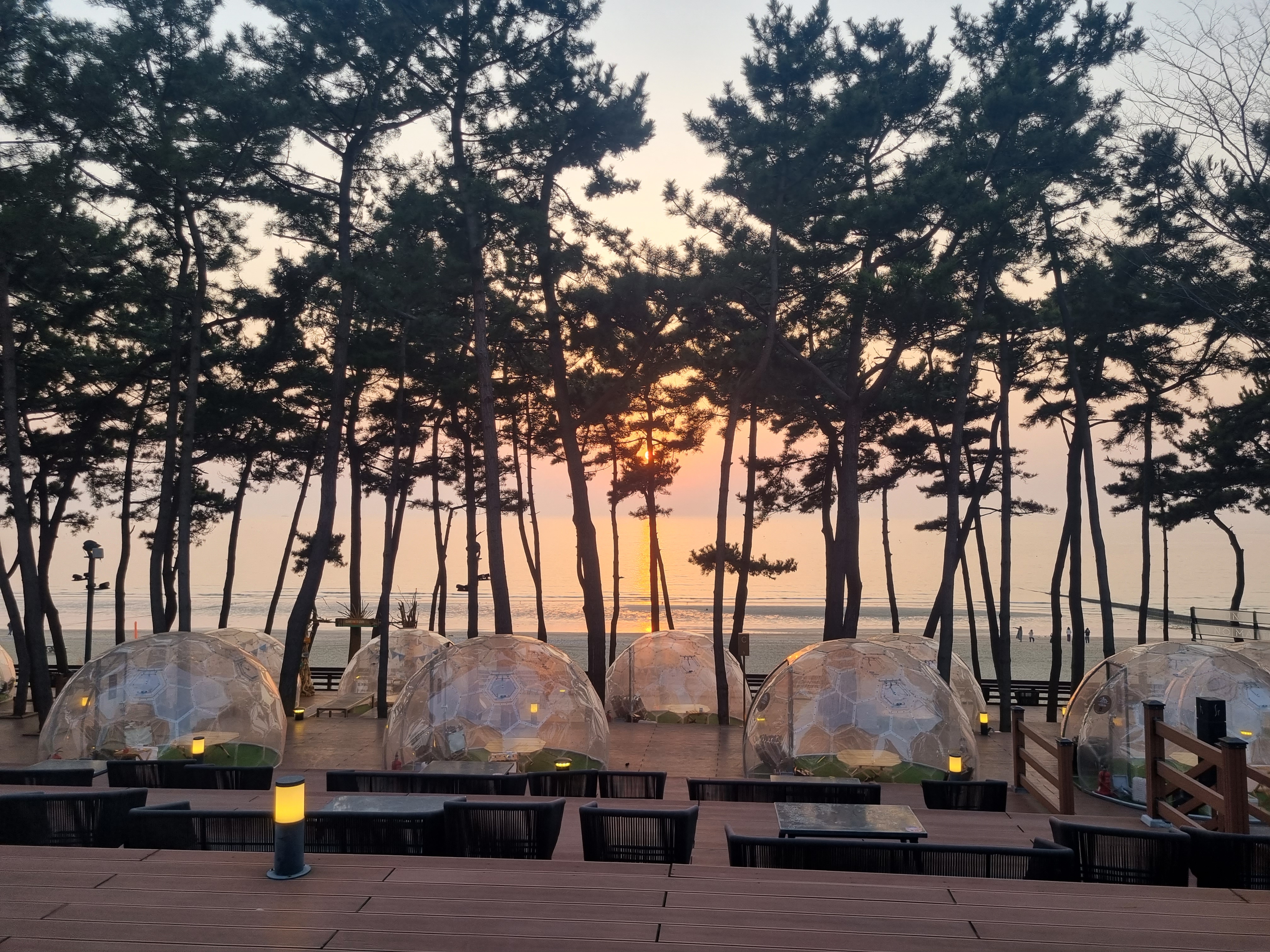 안면도 가족 여행