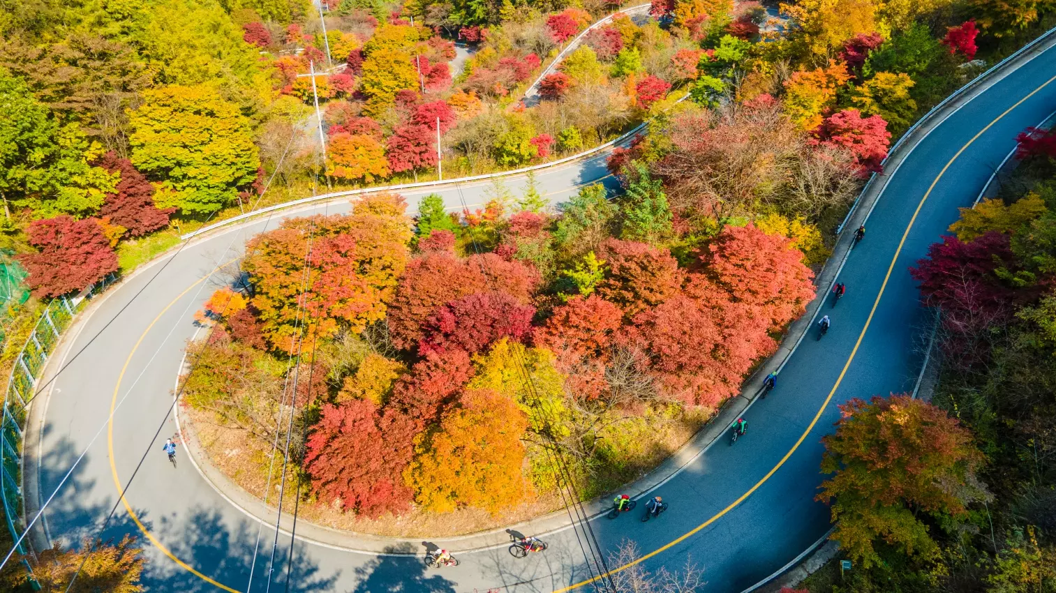 단양 보발재