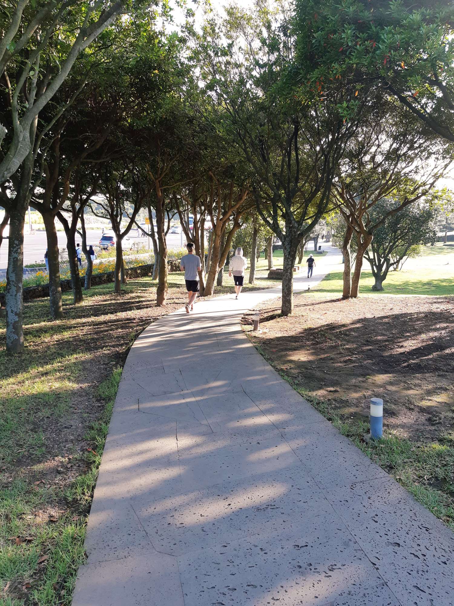 오설록 주차장 가는길