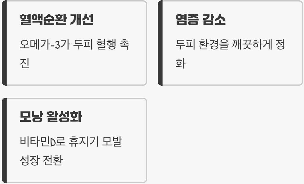 두피의 혈액순환을 돕는 파수꾼 : 연어