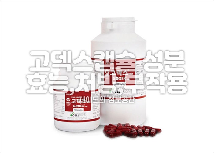 고덱스캡슐 성분&amp;#44; 효능&amp;#44; 처방&amp;#44; 복용법&amp;#44; 부작용