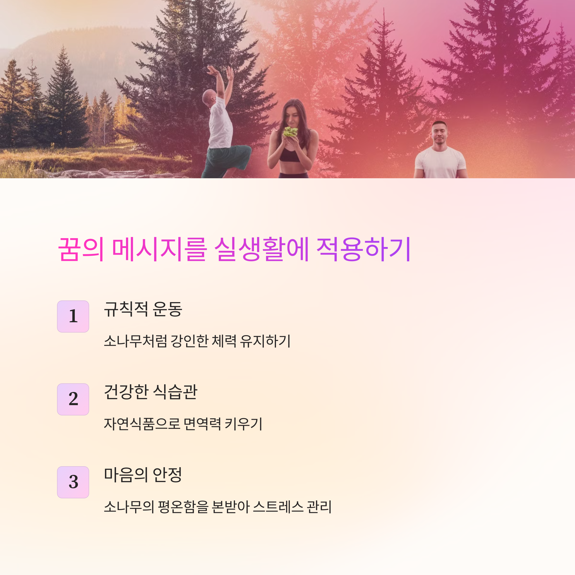 노송나무 소나무를 보는 꿈