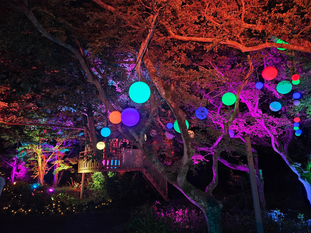 루나폴 야간 산책