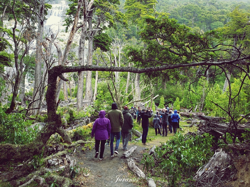Mayo Spirit Trek 04