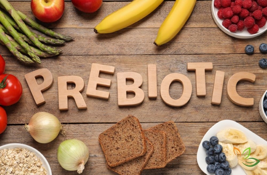 프리바이오틱스 음식들을 보여주는 이미지 - 나무 배경에 PREBIOTIC 글자와 함께 바나나, 사과, 양파, 아스파라거스, 베리류, 귀리 등이 배치된 모습 via canva
