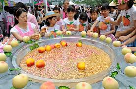제22회 세종 조치원 복숭아 축제 기본일정과 프로그램 정리