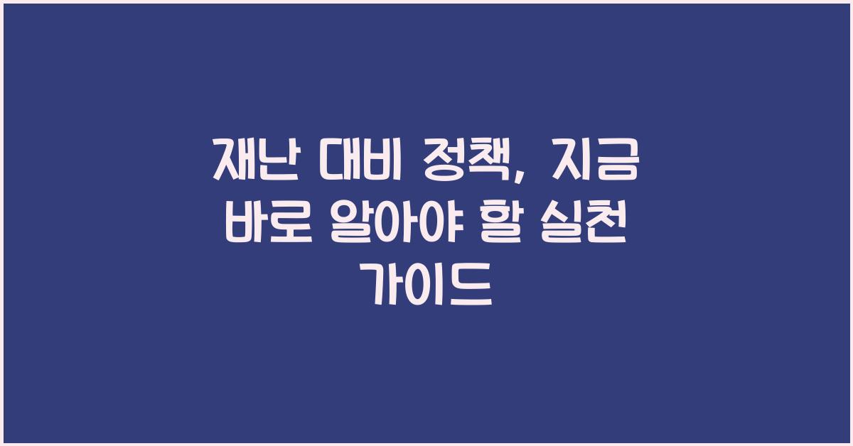 재난 대비 정책