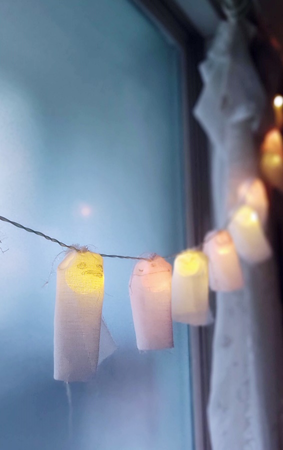 쿠앙이 쿠웅이 간접조명에 달아주기