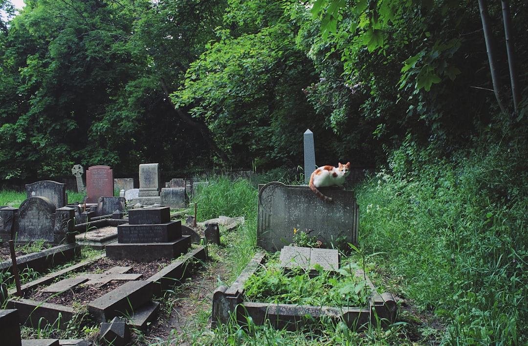 grave maintenance