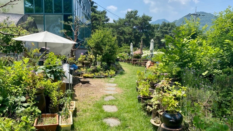 충주 수국여울 카페