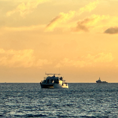 괌 선셋 돌고래투어 예약 방법
