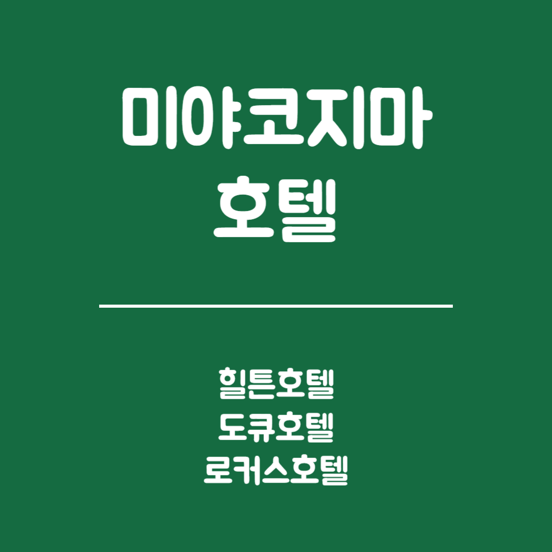 미야코지마 호텔 추천 - 힐튼호텔, 도큐호텔, 로커스호텔