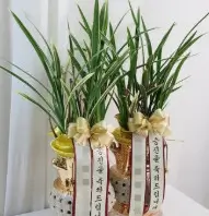 승진 진급 축하 메시지 모음