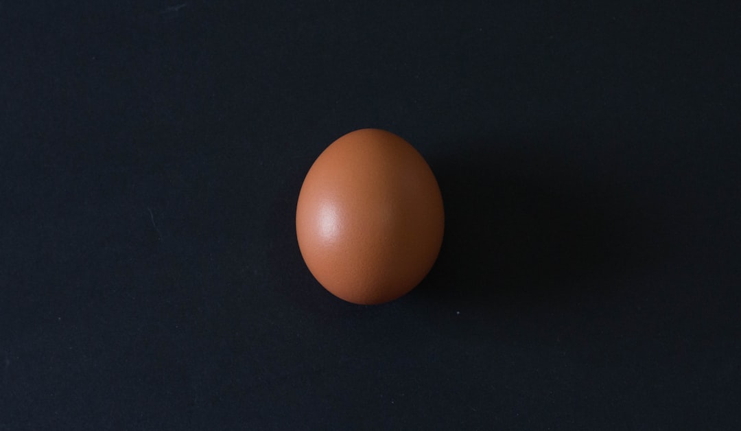 Egg roll