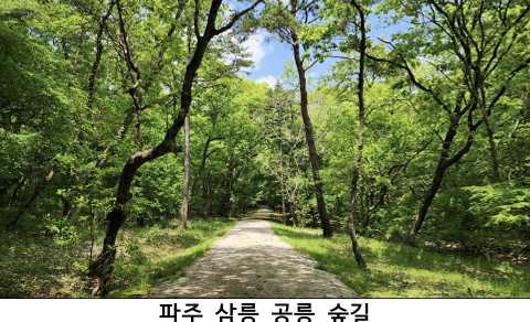 파주시 삼릉