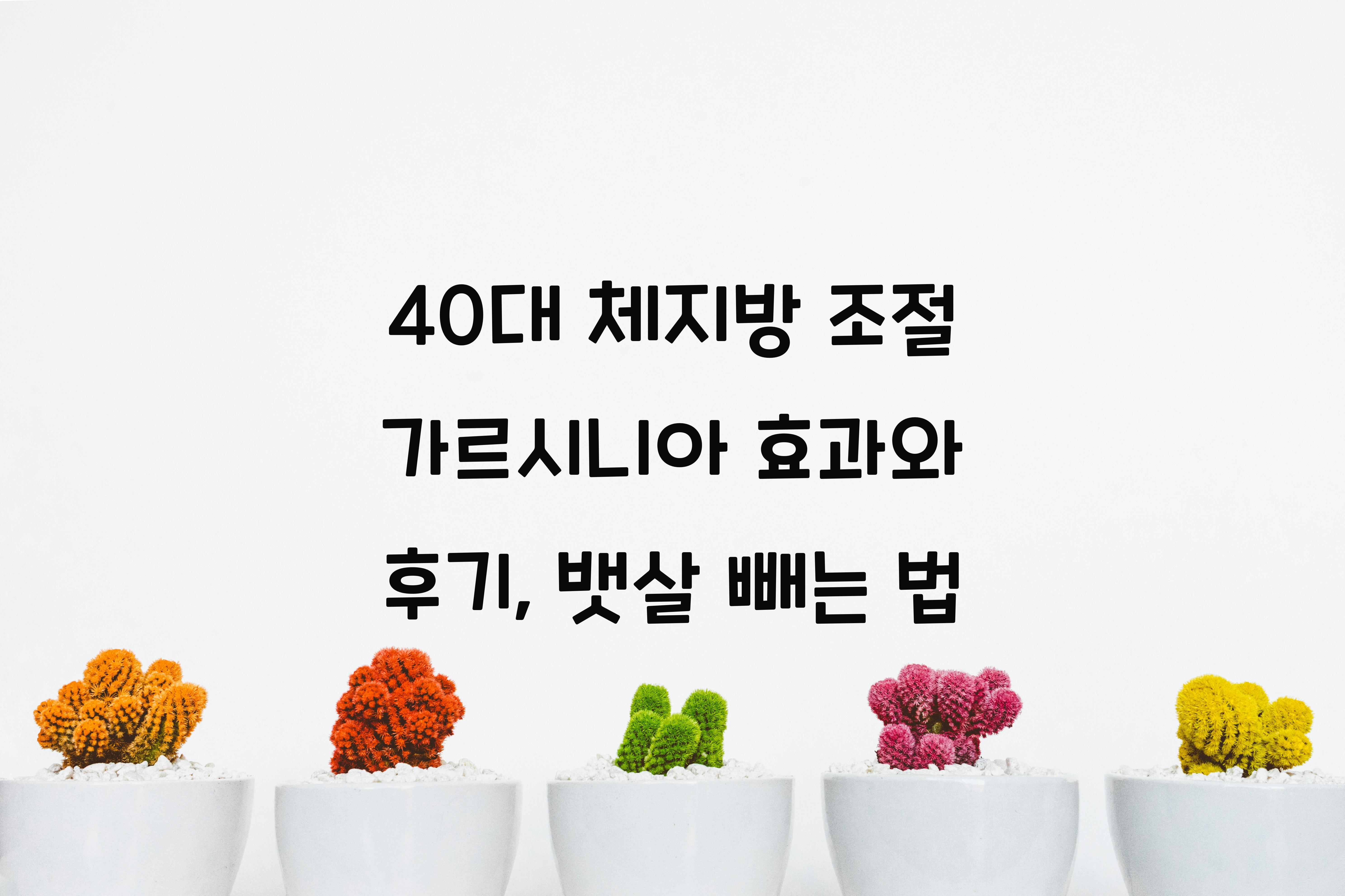 40대 체지방 조절 가르시니아