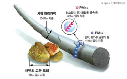 미세먼지 크기