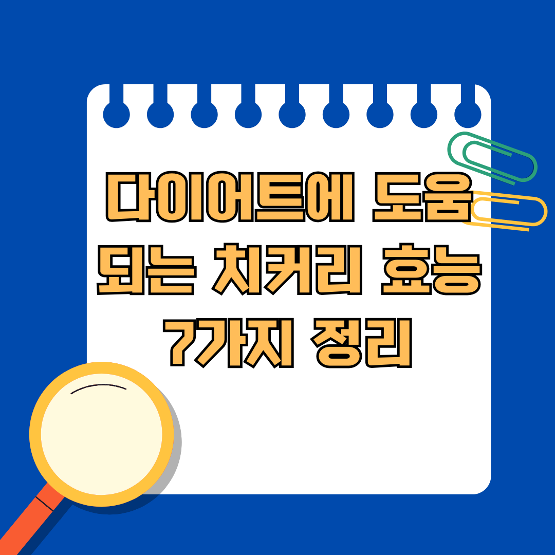 다이어트에 도움되는 치커리 효능 7가지 정리