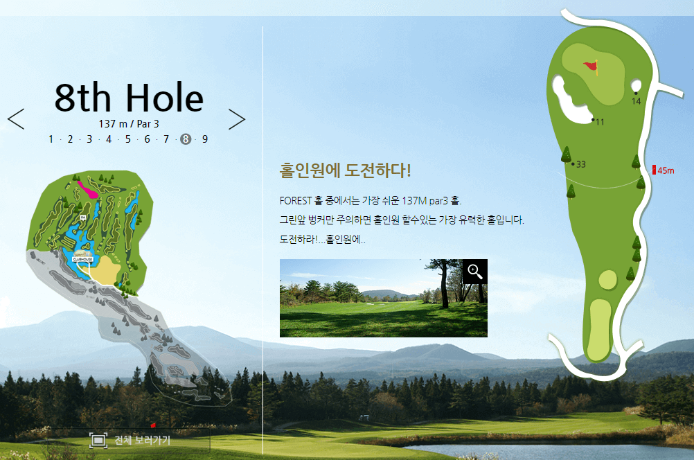 더클래식 컨트리클럽 포레스트코스 8