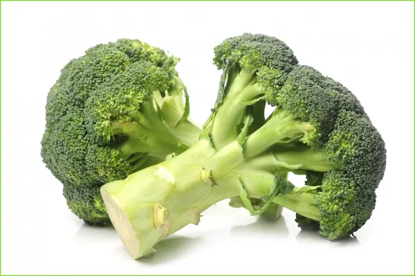 폐암에-좋은-음식-브로콜리