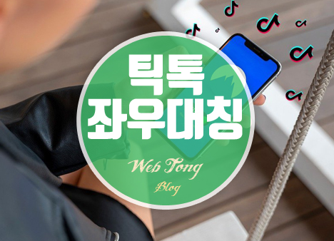 틱톡 좌우대칭