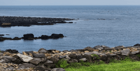 제주도 서쪽 여행코스