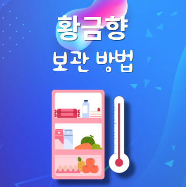황금향 보관법
