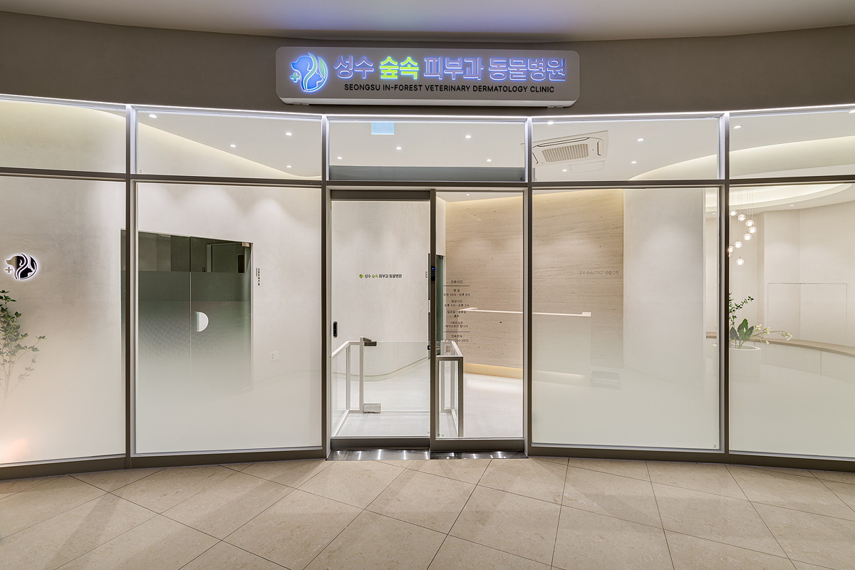 성수 숲속 피부과 동물병원