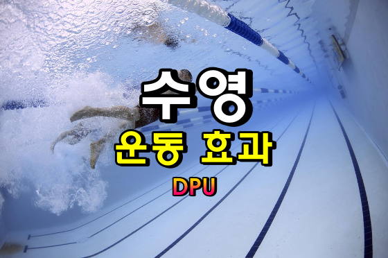 수영 운동 효과