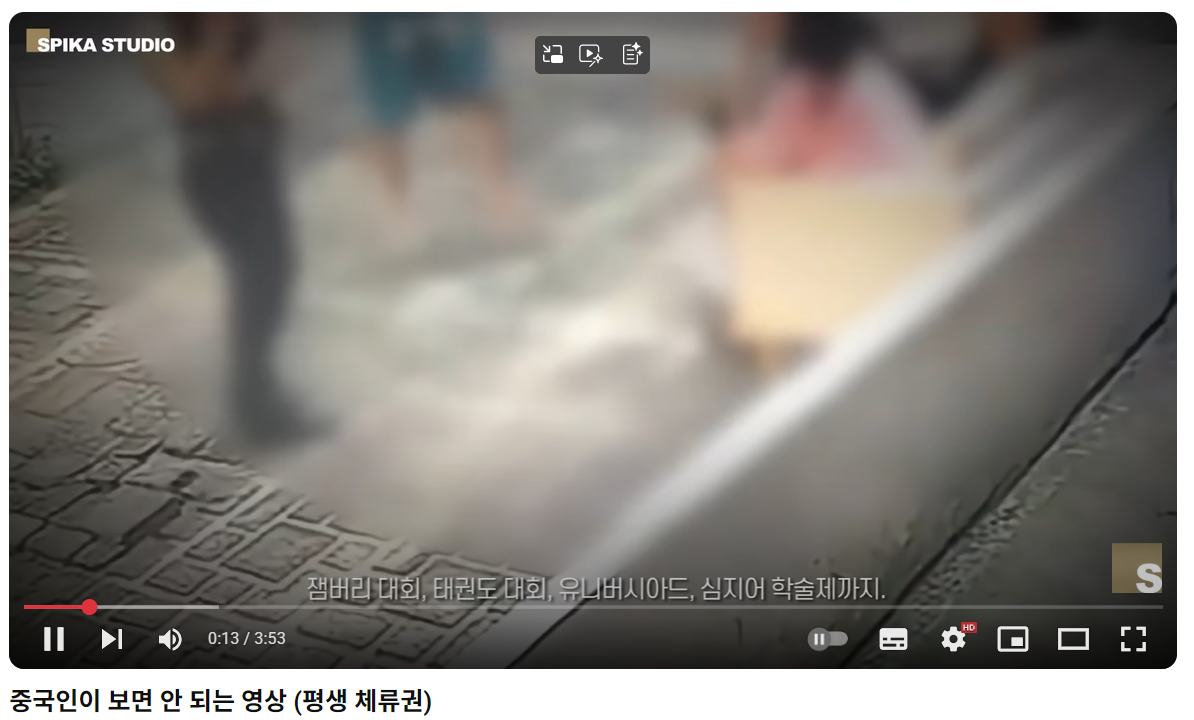 중국 난민