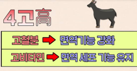 흑염소진액