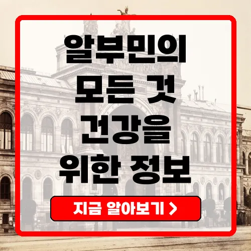 알부민의 건강 효능과 활용 완벽 가이드