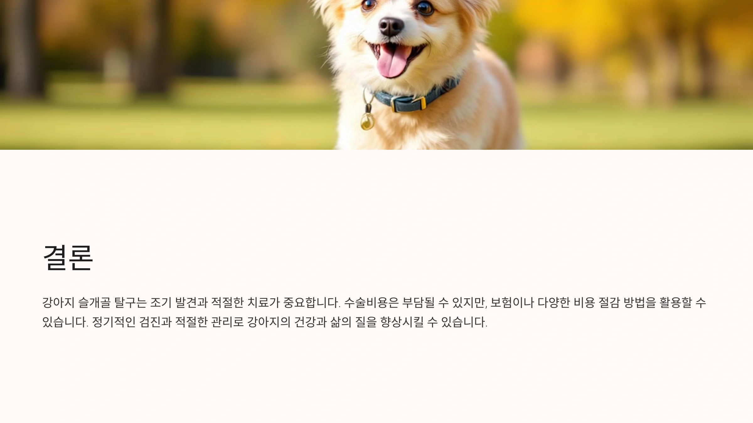 강아지 슬개골 탈구 수술비용과 정보