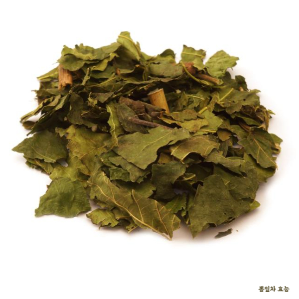 뽕잎차 효능 알아보고 드세요!