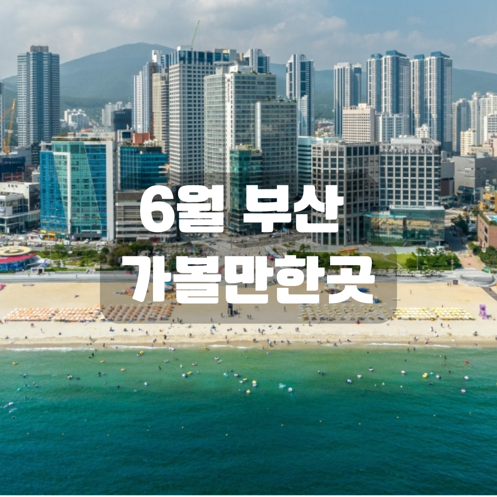 6월 부산 가볼만한곳