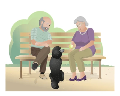 국민연금과 유족 연금 중복 지급 문제