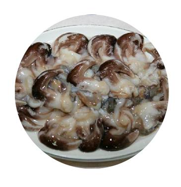 홍성남당항대하축제 기본정보