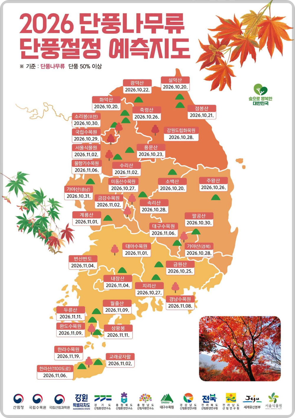 산림청 단풍지도 이미지