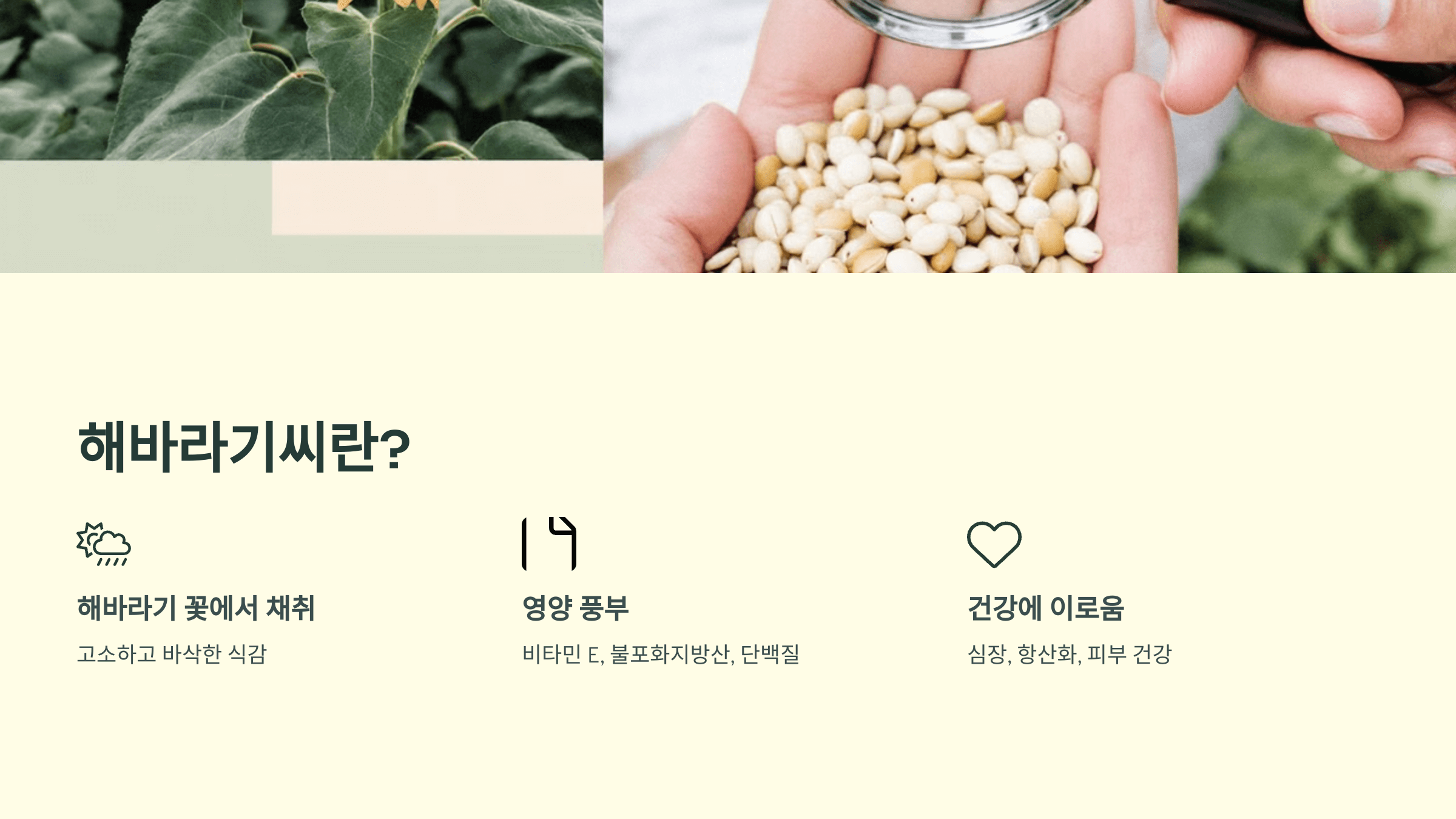 해바라기씨 사진입니다.